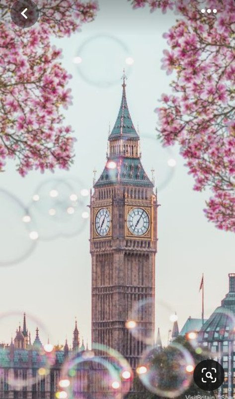 Screenshot_20231012_214650_Pinterest