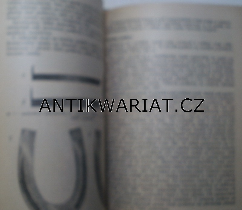 11a-AWECKO00006