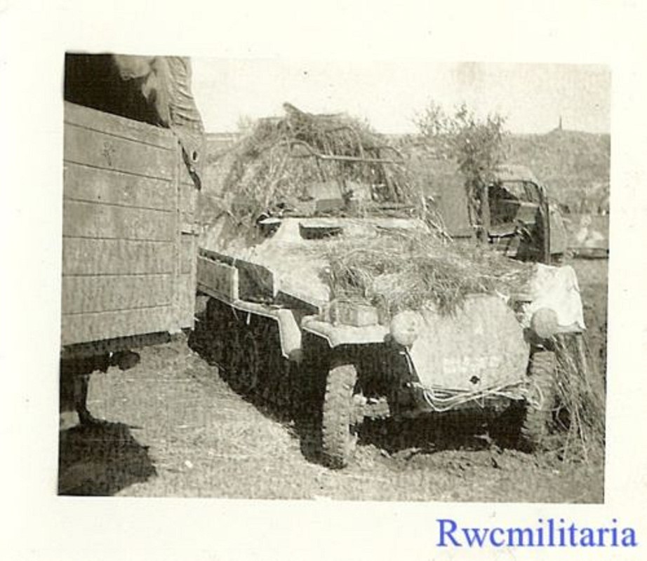 German Elite XX SdKfz.251 Schützenpanzerwagen Ar