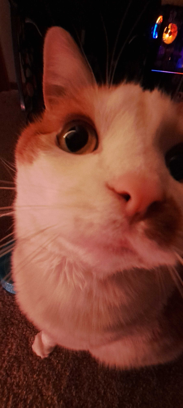 oh, hi