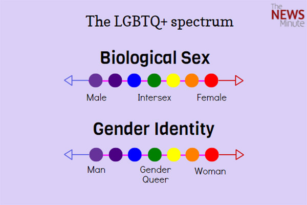 gender spectrum