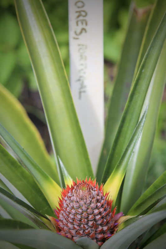 2BFB461E-F632-4DA9-B8A3-7E3DC8407ED4_1_201_a