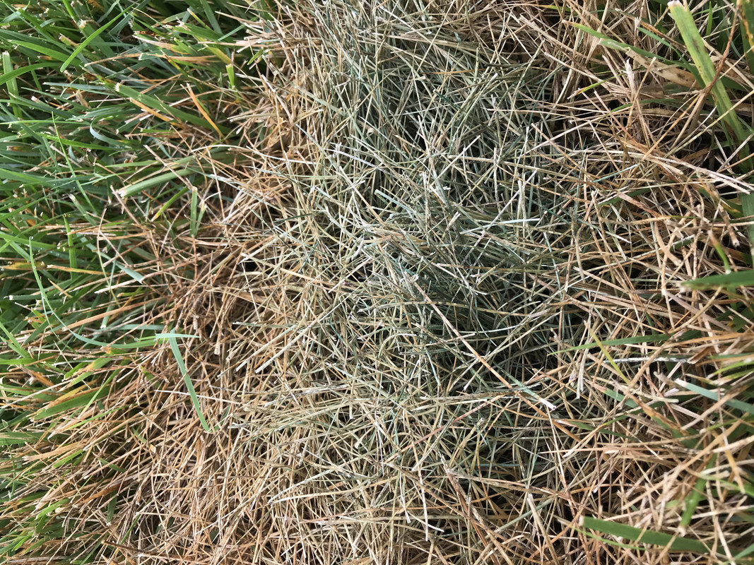 2822DEB6-5BE9-4CE3-93B8-191E165F77FC