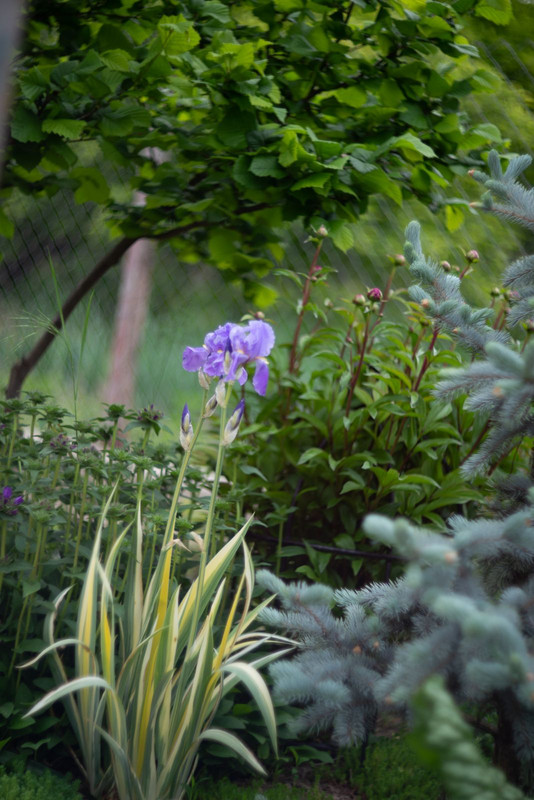 IMG-18d8d0d6f77b7f1cb56cd7e26e309e44-V