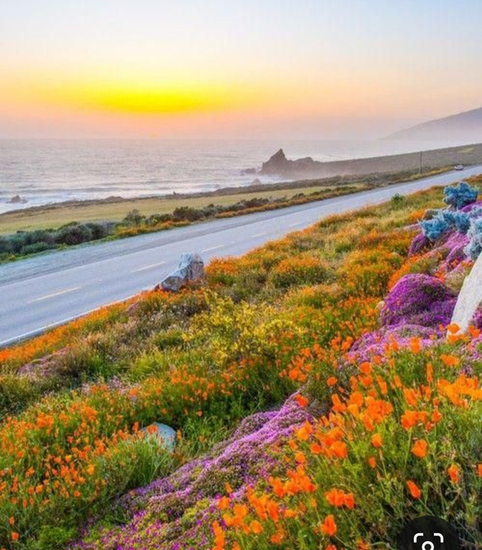 Screenshot_20231104_214709_Pinterest