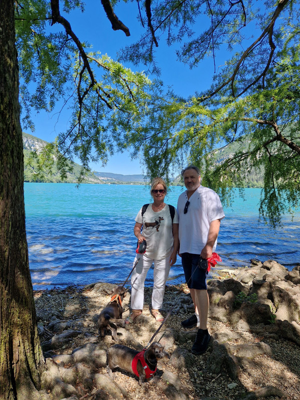 [Image: 20250628-110309-TSDF.jpg]