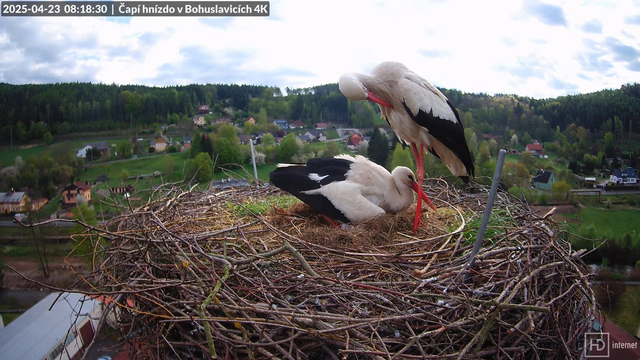 Tiešraidē no uzņēmuma KARA stārķa skursteņa Bohuslavicē pie Trutnovas 11-48-53 screenshot