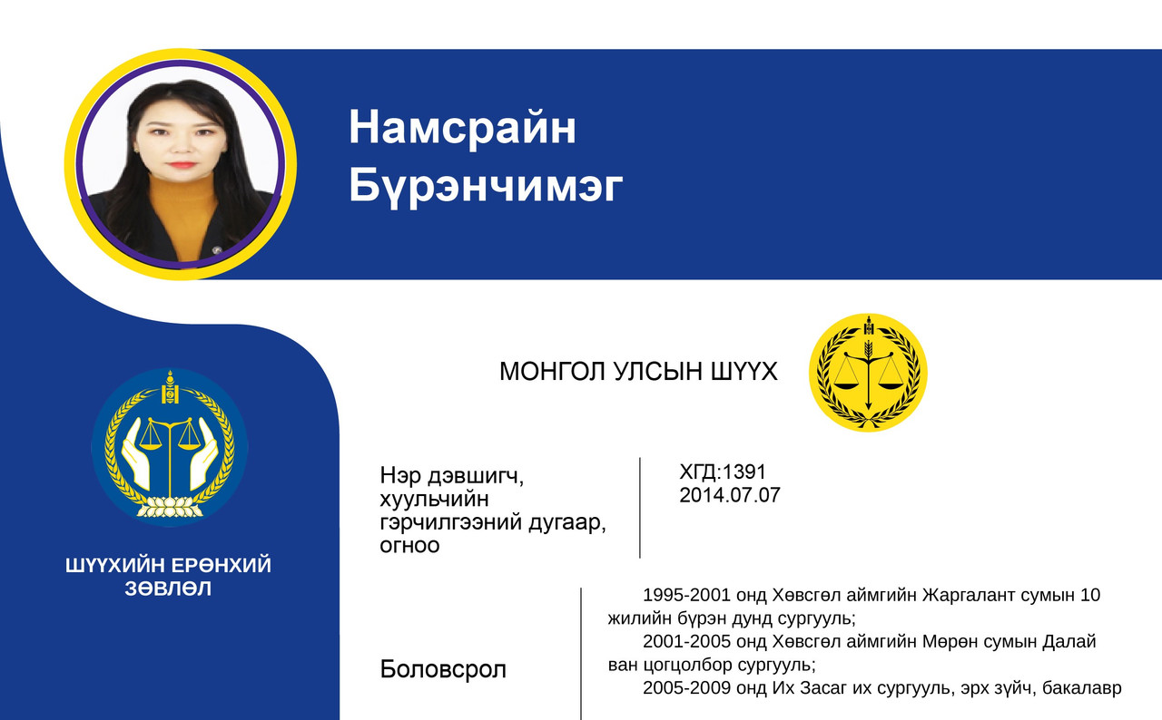 Эрүү, Иргэний хэргийг харьяалан шийдвэрлэх анхан шатны шүүхийн шүүгчид нэр дэвшигч Н.Бүрэнчимэгийн мэргэжлийн үйл ажиллагааны танилцуулга
