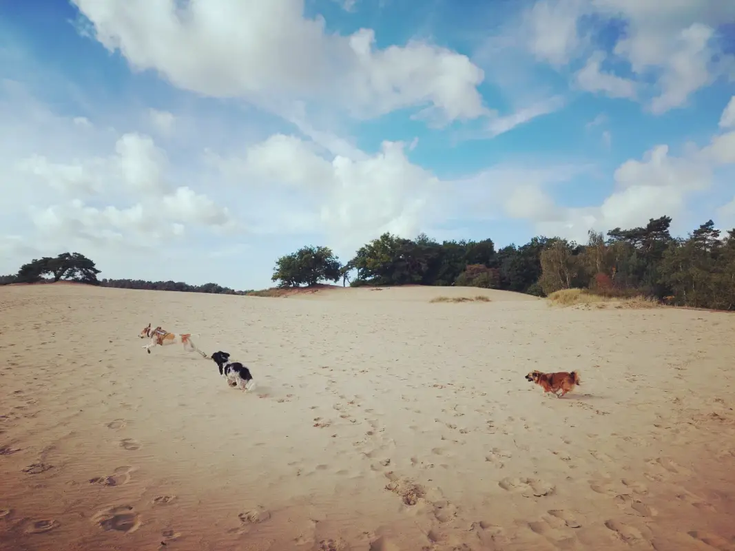 IMG_20221002_155638_339