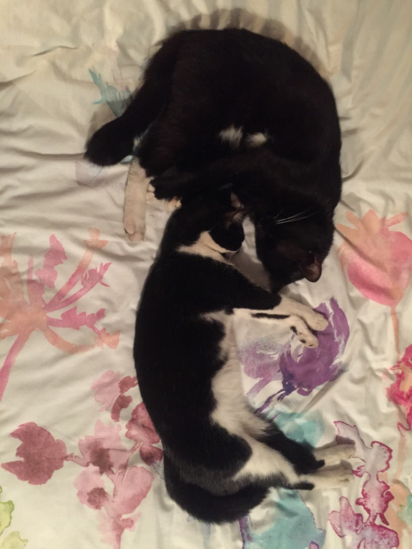 58CD57C3-828B-4808-BA18-5815946B9F45