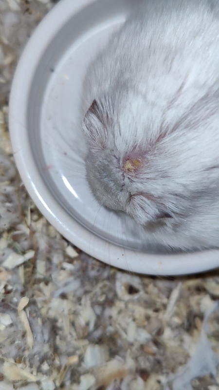 IMG20250228214652_01