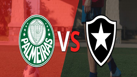 Soi kèo tài xỉu, phạt góc trận Palmeiras vs Botafogo, 23h00 ngày 28/06