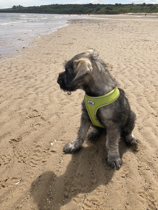 784F5290-EAC3-4E68-96A0-5E5644D70313_1_105_c