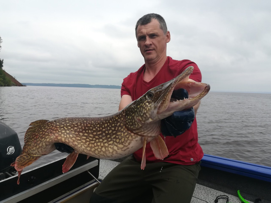 32_Никулин_Михаил__джиг_(4 10) спиннинг рыбалка  блесна воблер катушка  судак щука окунь таймень мас