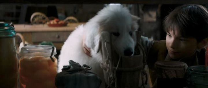 Belle.E.Sebastien.Amici.per.Sempre.2018.iTALiAN.MD.WEBRip.XviD-i