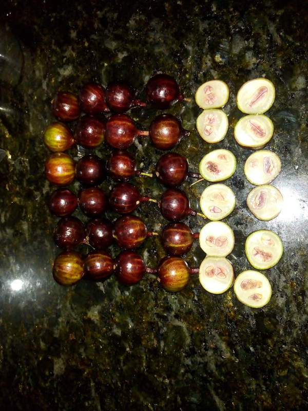 WhatsApp Image 2020-12-20 at 00.10.49 (27)