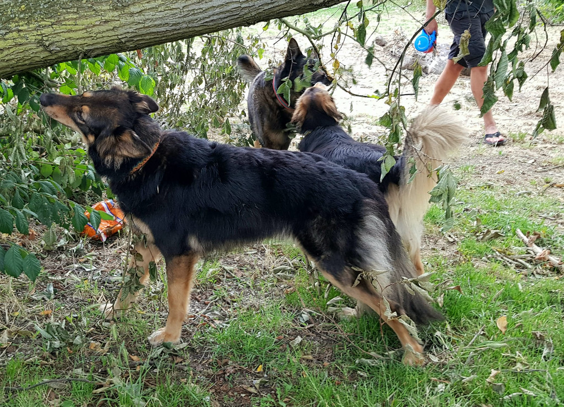 358410744_6514660238592059_3759011231793919006_n