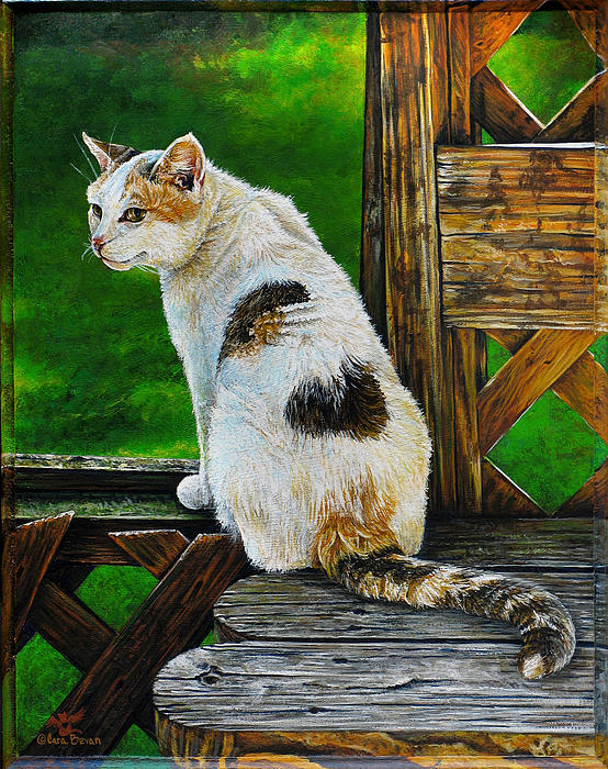 12-nubby-cara-bevan-003
