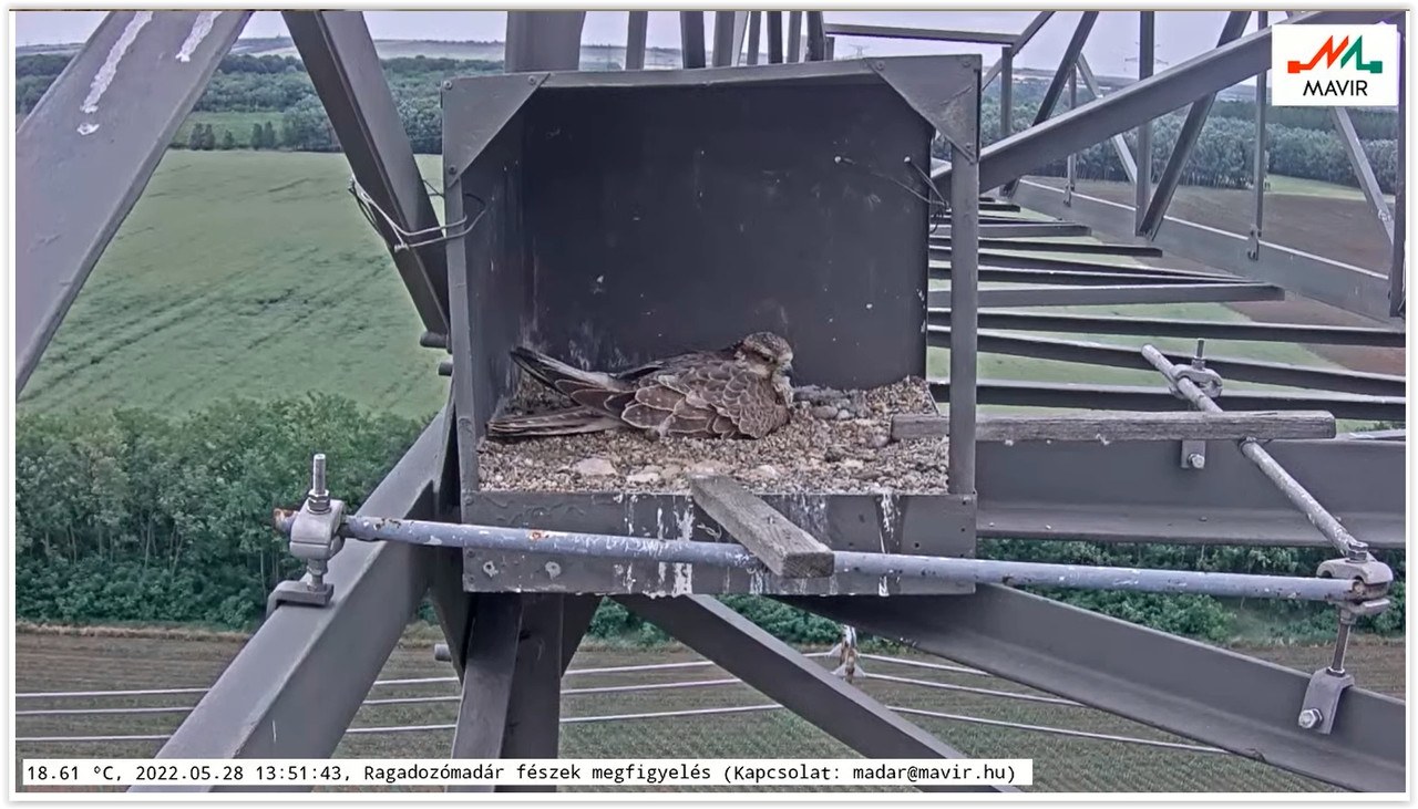 Screen Shot 05-28-22 at 01.52 PM