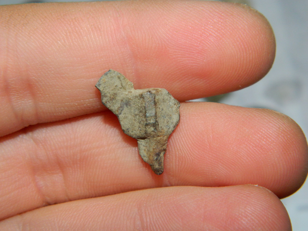 peruna 011