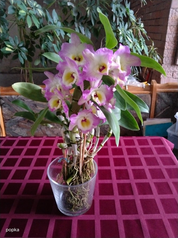 a972017e-ce69-4f79-b527-d56680f408f4