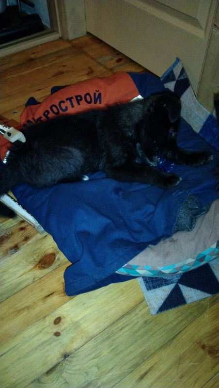 91E1654E-EAB0-4E42-89FF-017AD2073FC8