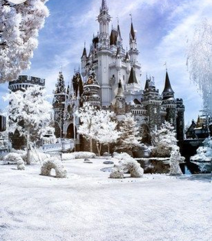 Screenshot_20230127_005050_Chrome