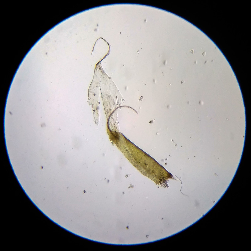 IMG 20250614 203604 HDR