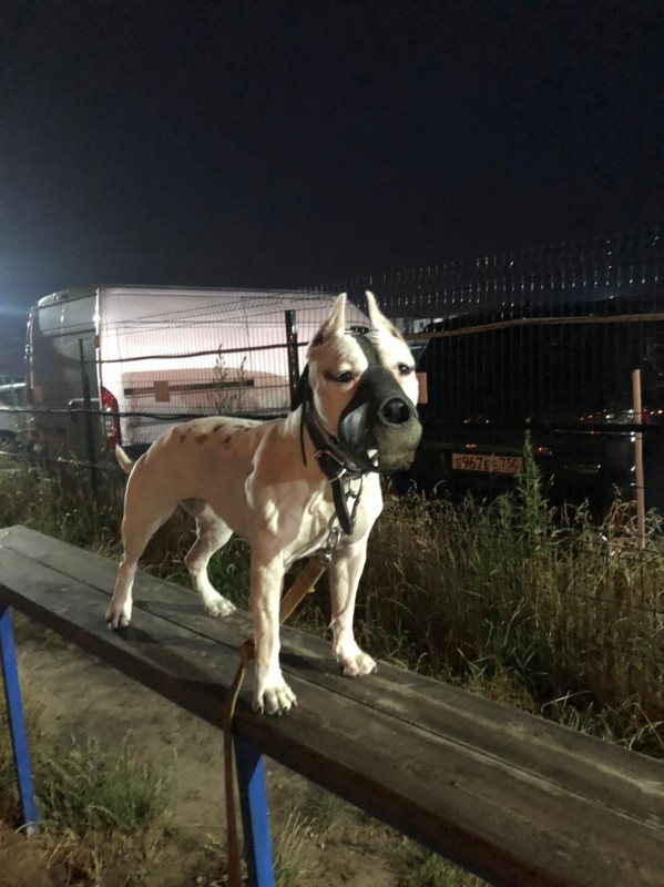 42CEB1D9-24C7-4E1B-BB86-A53B284AB9FE