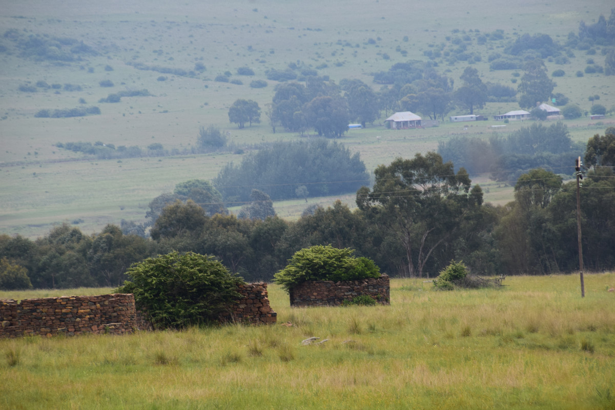 DSC_0083