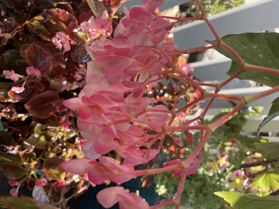 8092B9A8-039A-4741-834F-0F3C7CBC63BF