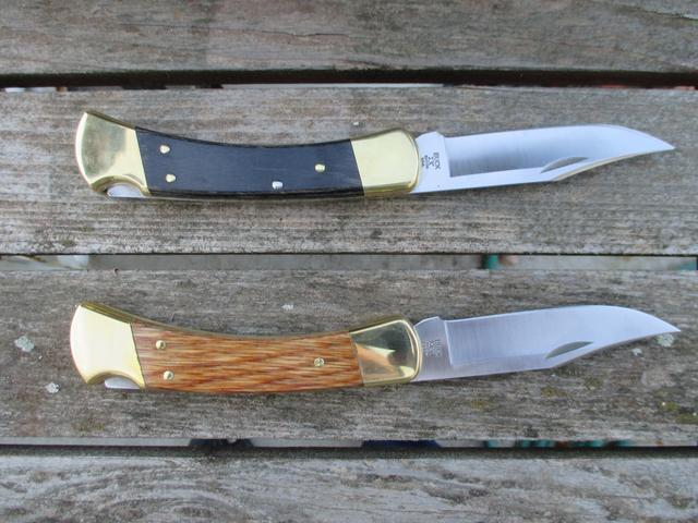 Buck 110 traditional hunting knife, sitting next to headless fish