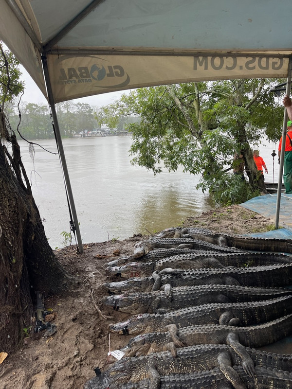 92F85C23-9AF2-4F45-AF4C-F85008F9DFFA