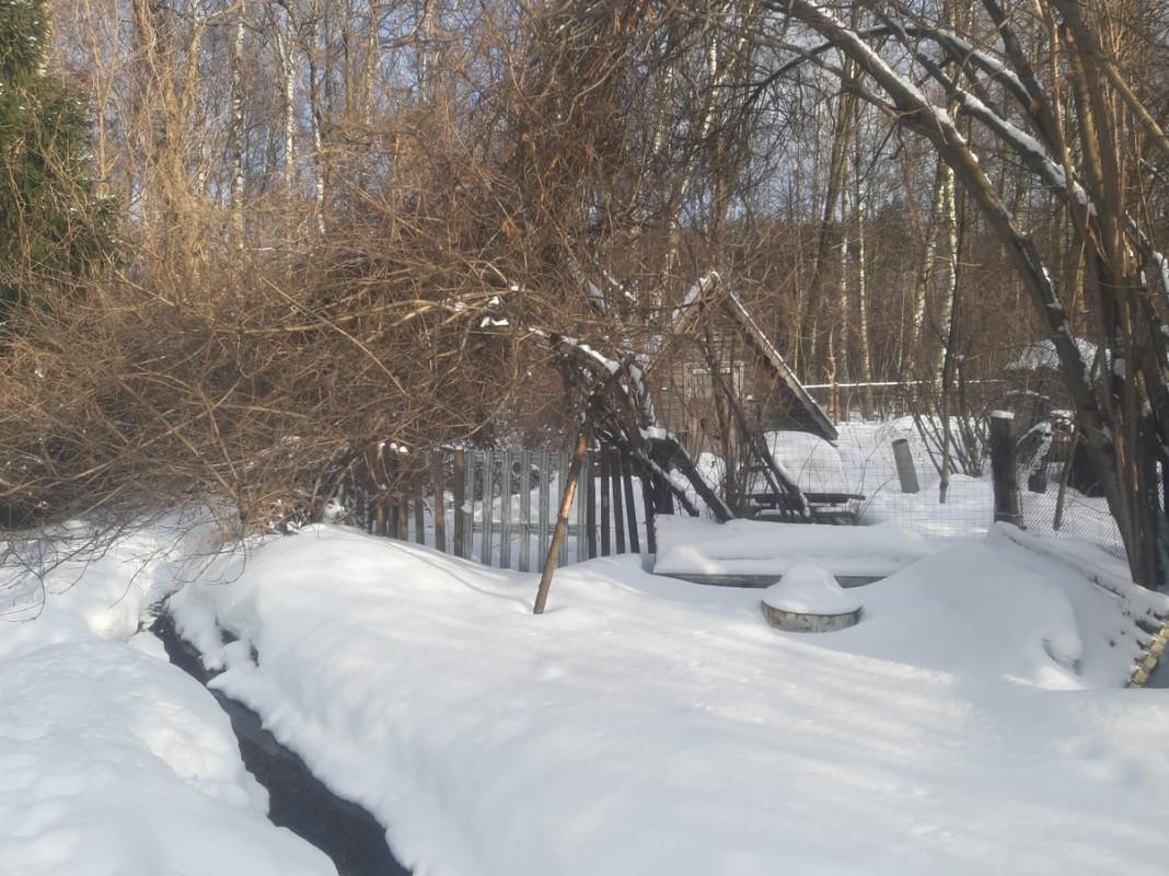 WhatsApp Image 2021-03-10 at 09.28.20 (3)