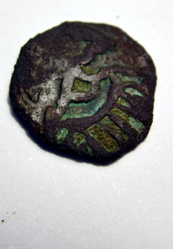 SAM_8384_обработано