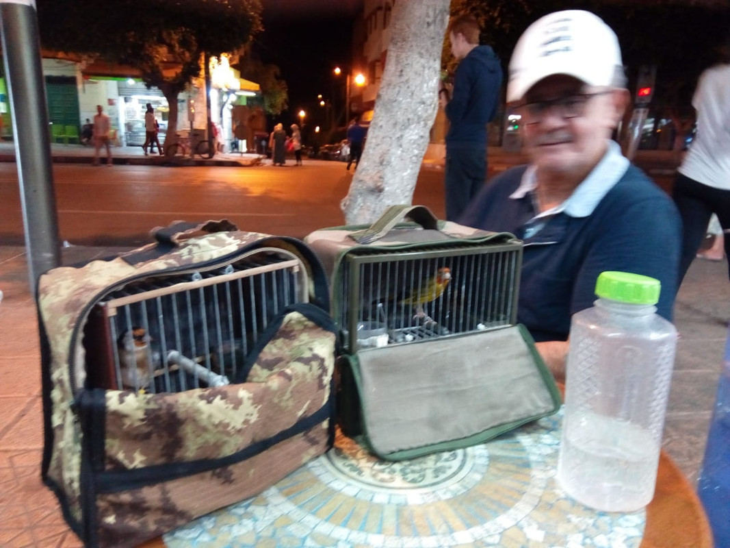 IMG-20180921-WA0001