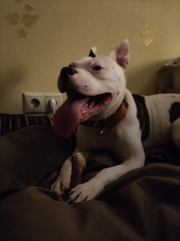 A260AD09-18CC-4DFE-8767-A9B285502498