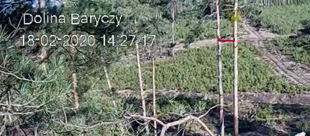 DOLINA BARYCZY. Male 1 AX (2017 - PL) Female M C (2018 - CZ) Przechwytywanie-w-trybie-pe-noekranowym-18-02-2020-142802