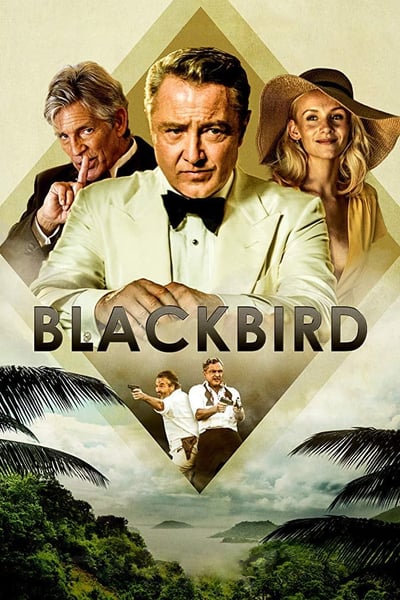 Blackbird 2020 720p WEBRip 800MB x264-GalaxyRG