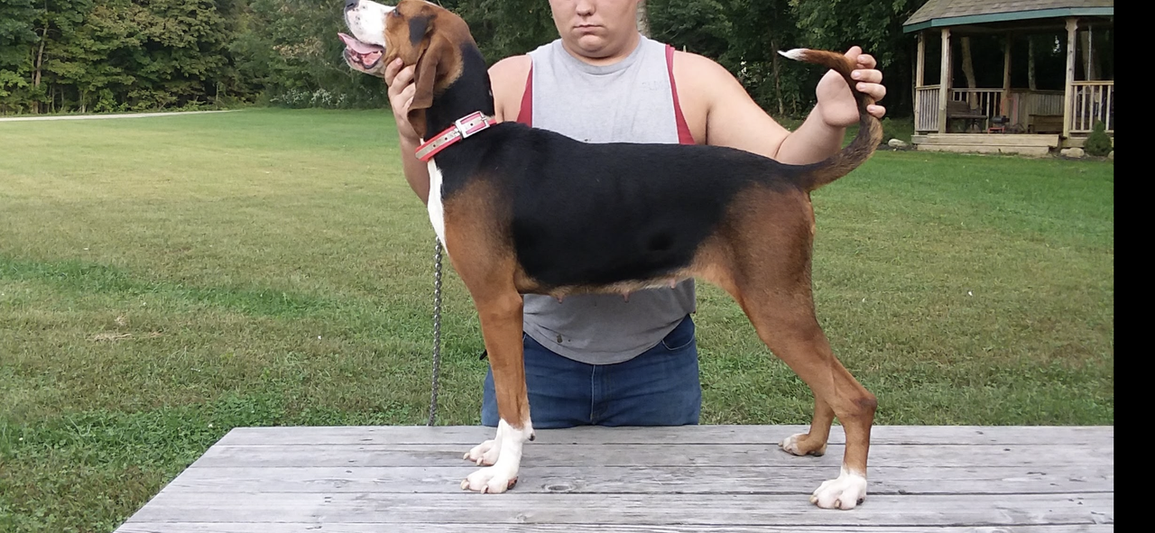 63DD311A-97D5-42BB-9283-62A13FB4D7F6