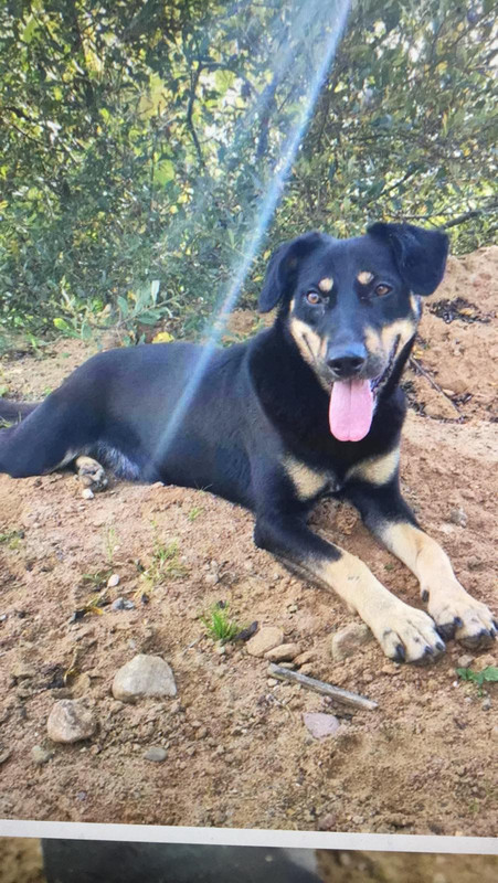 04022A97-6F31-4F71-A2D8-F4CE6680D6DD