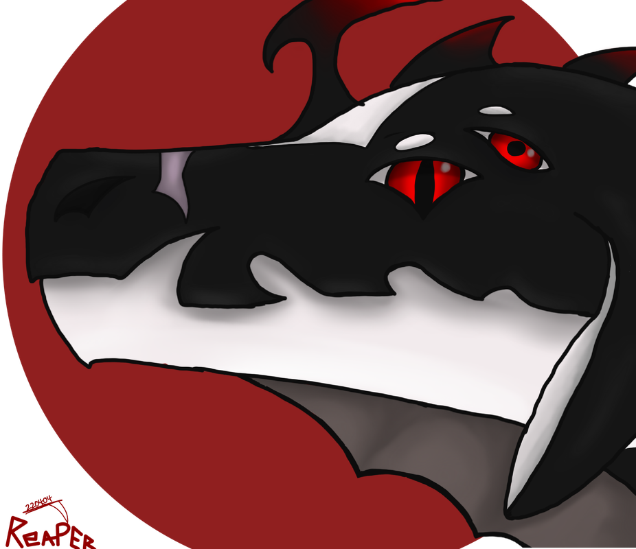 IMG-0797.png