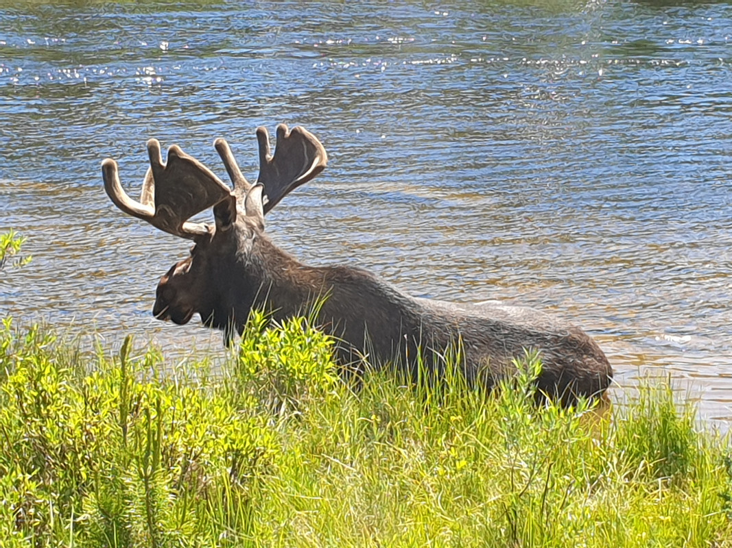 20190703_144333