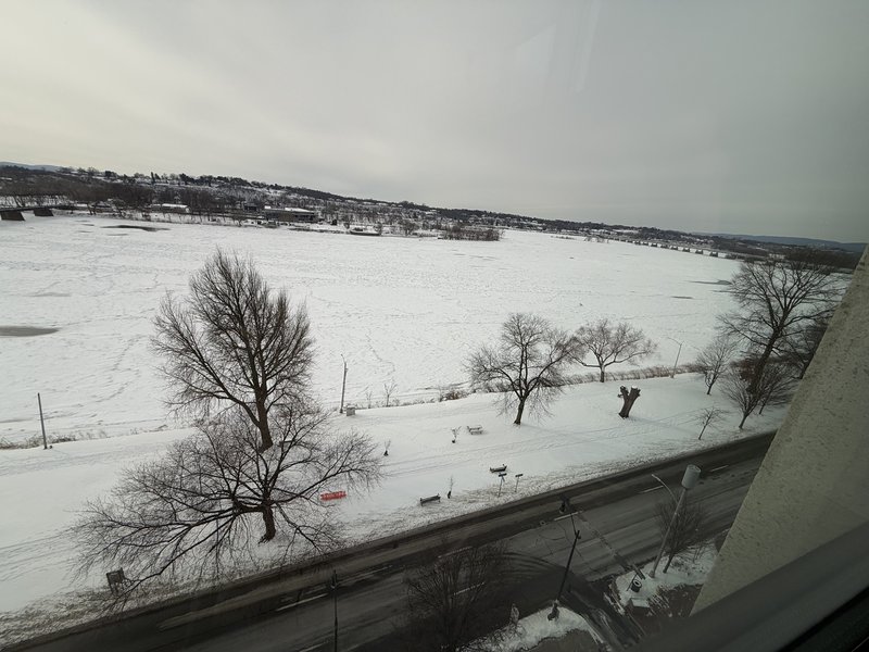 IMG-6395.jpg