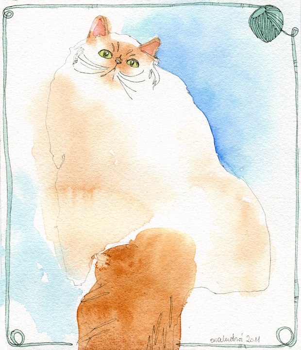 29