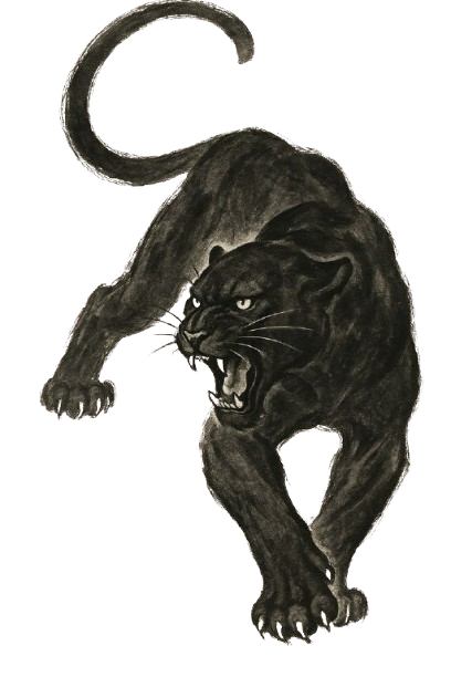 panther