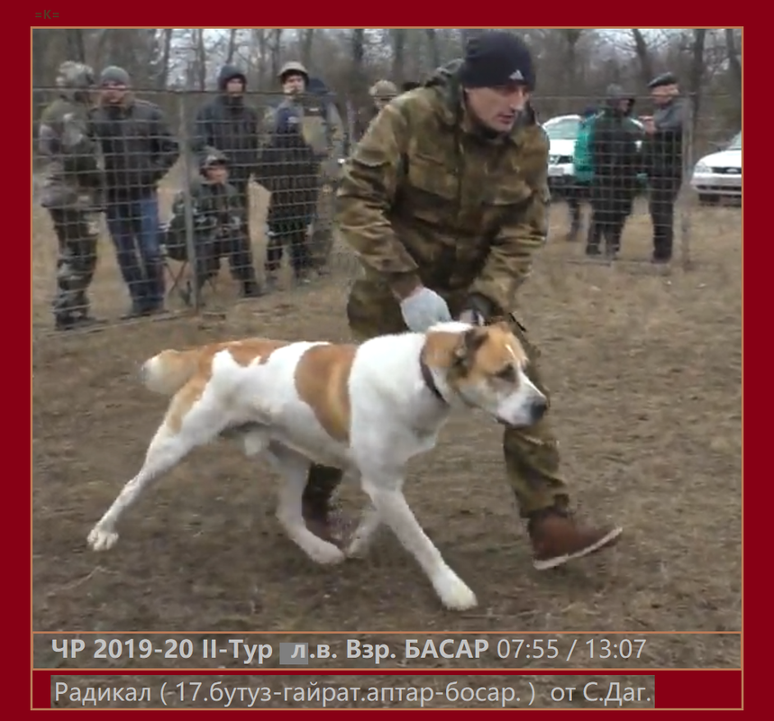 ЧР 2019-20 2Т 2019.12.14 СрВ Взр. АПТАР рыж х БАСАР б.рыж Den 17