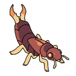 earwig (squidknees)
