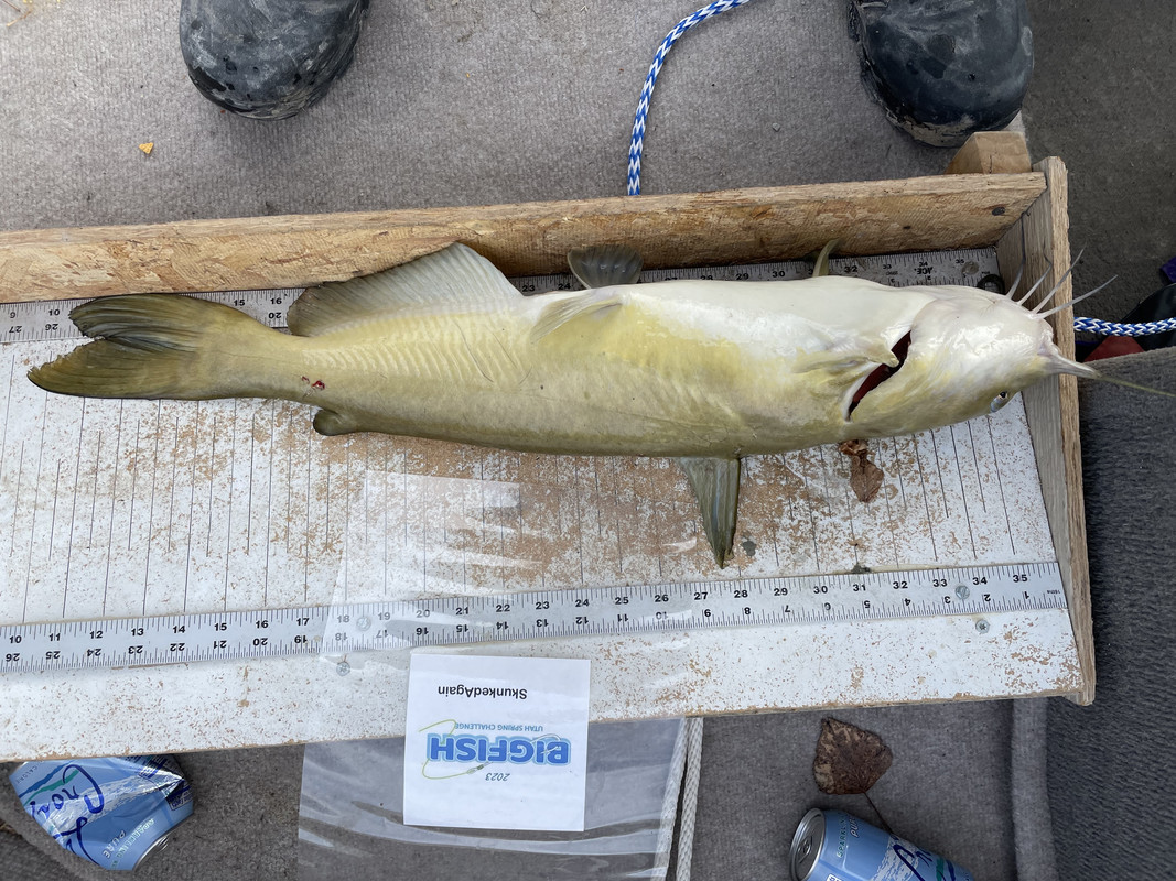 2A2A94E4-E565-41AA-A326-46C2B91E9B82