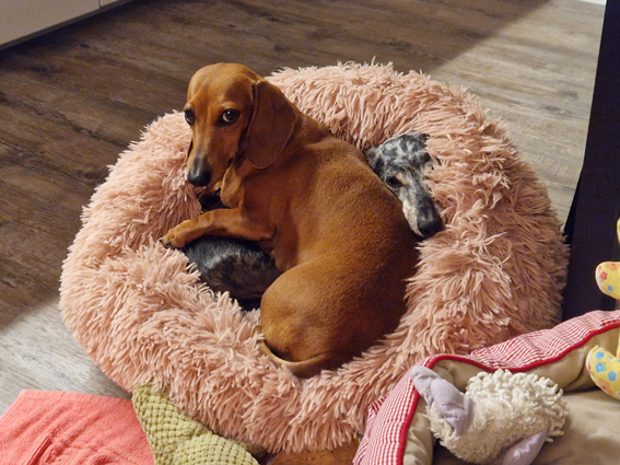 [Image: 20230702-221350.jpg]